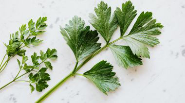 garnishing-instructions-image